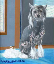 Chinese Crested painting